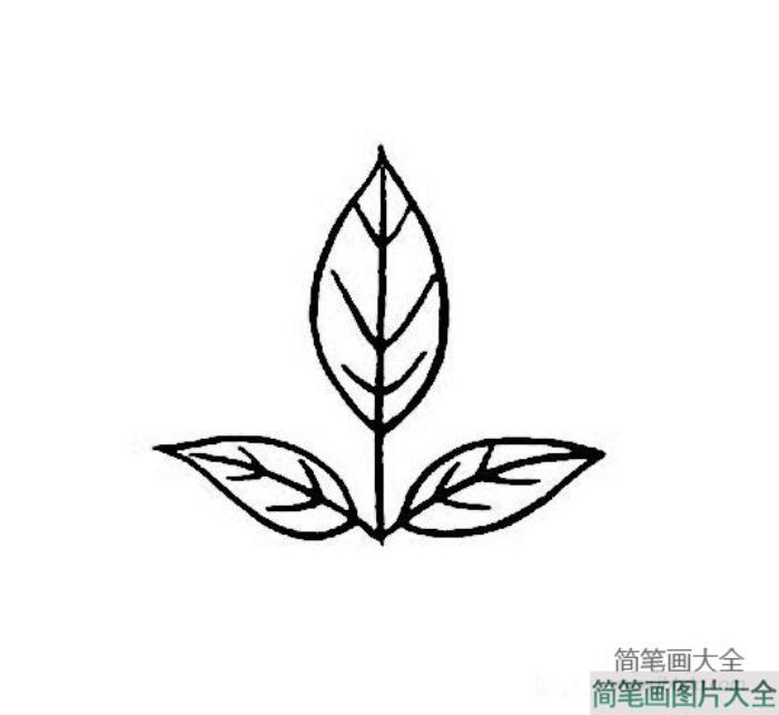 简单又漂亮DIY树叶简笔画图片