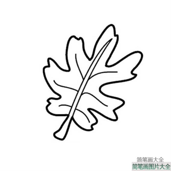 幼儿简笔画_关于树叶的简笔画图片  第3张