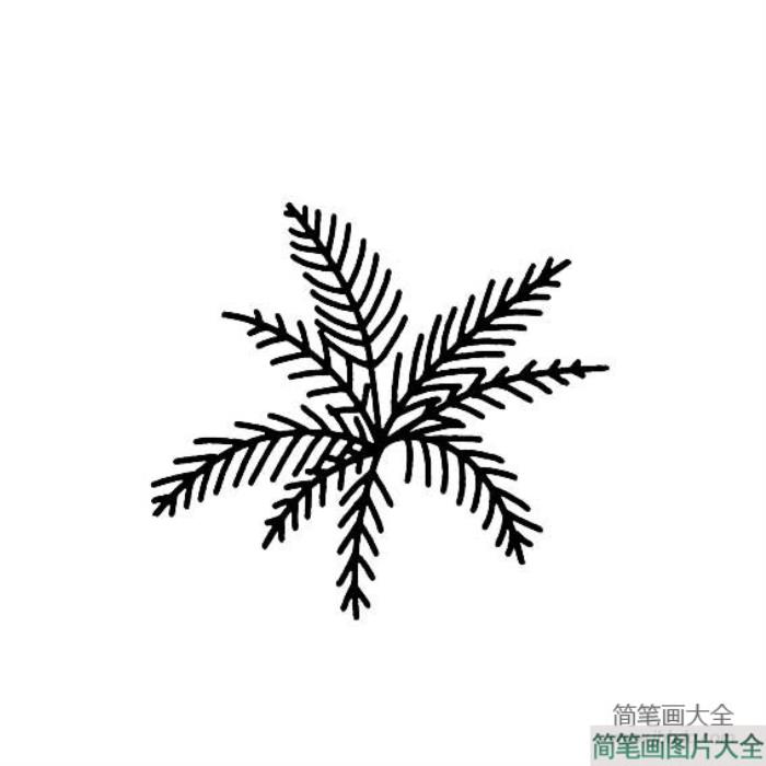 各种各样的树叶简笔画大全