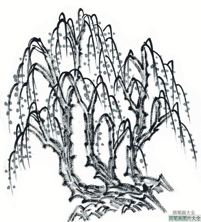 春天的柳树简笔画  第2张