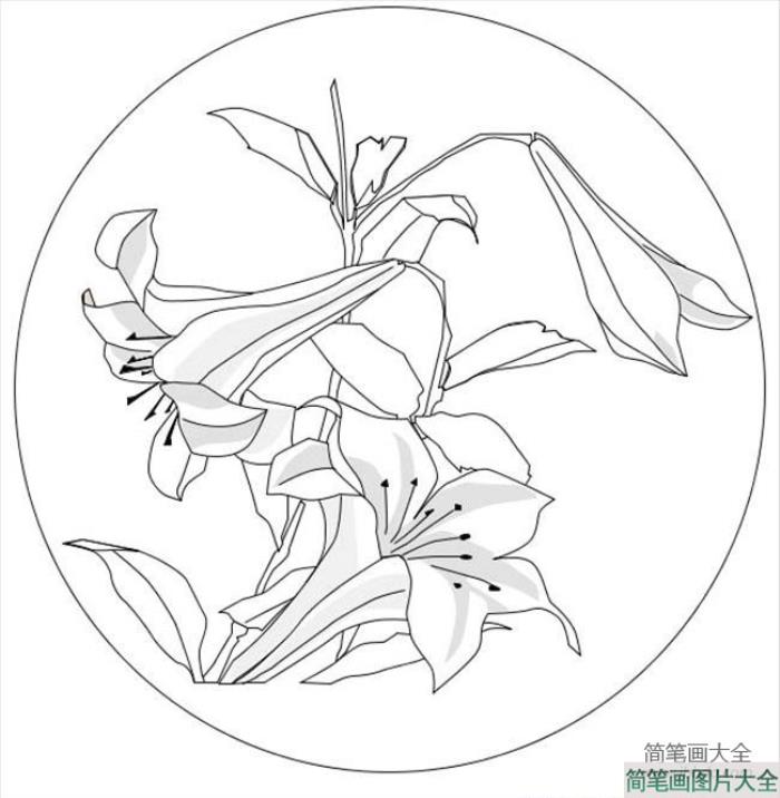 花朵的画法大全_漂亮的花朵简笔画