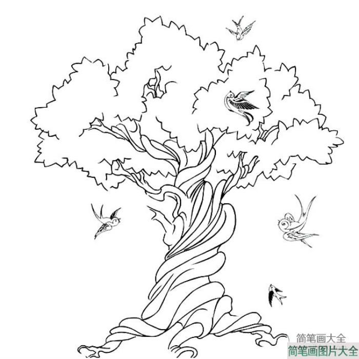 大树简笔画_高大的古树简笔画图片