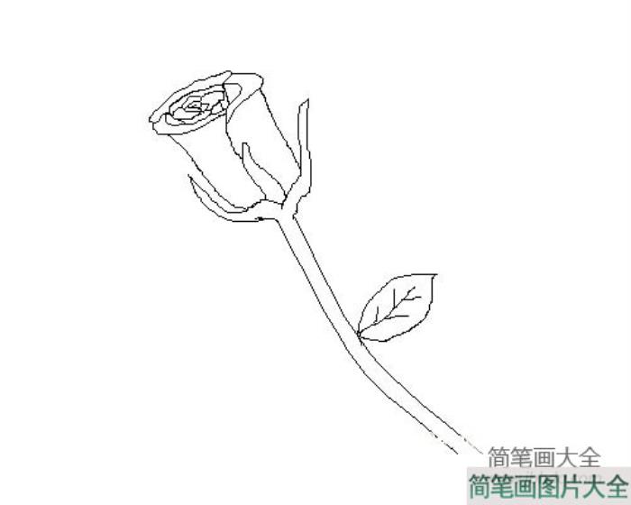 花朵简笔画大全_简单的玫瑰花简笔画