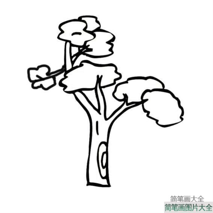 植物简笔画大全_大树简笔画图片  第2张