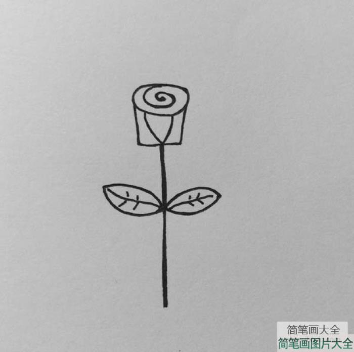 简单的玫瑰花简笔画画法  第6张