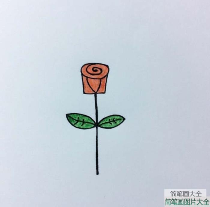 简单的玫瑰花简笔画画法  第7张