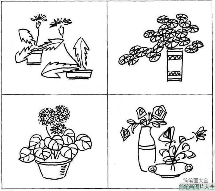 漂亮的植物盆景简笔画