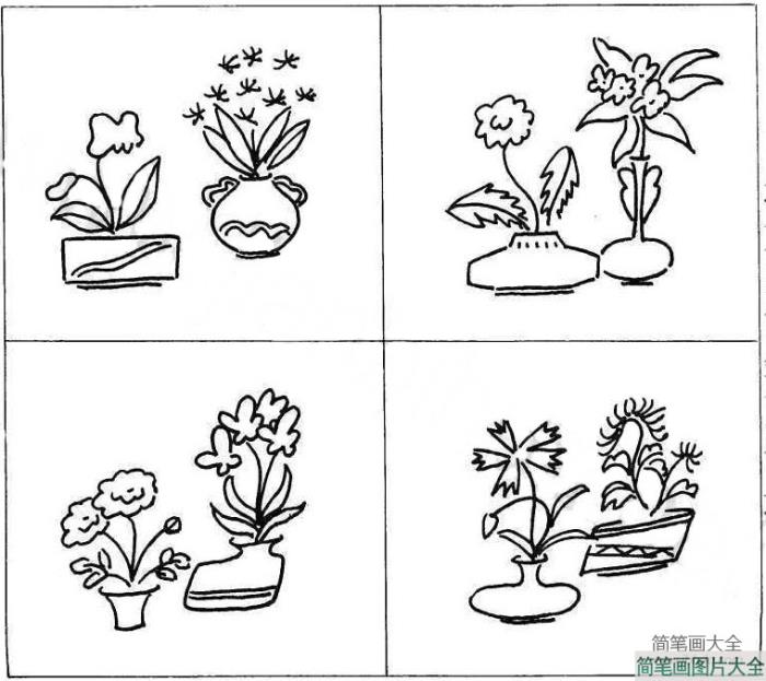 关于植物盆景的简笔画图片