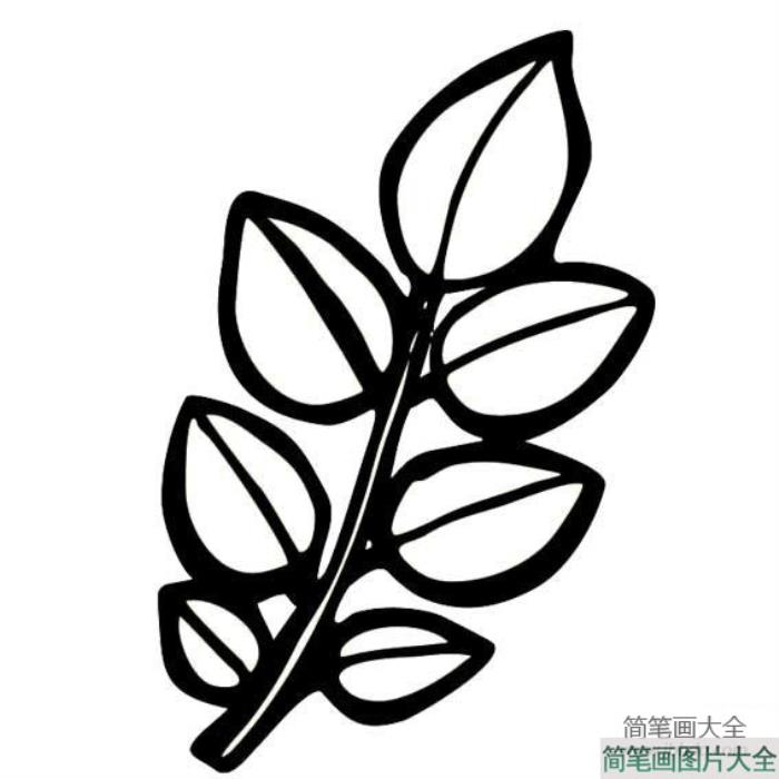 各种形状树叶的简笔画  第3张