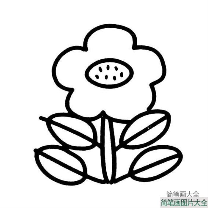 漂亮的小花朵简笔画