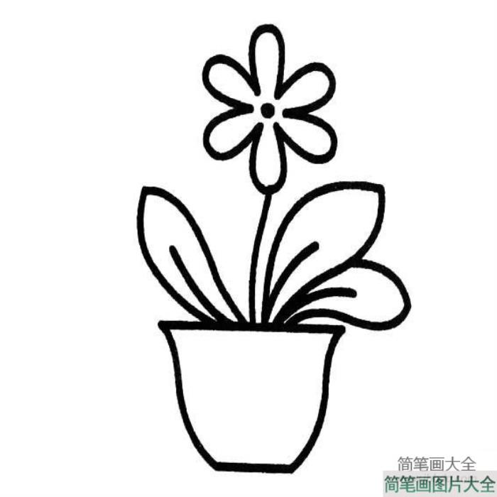 花盆里的花简笔画图片  第1张