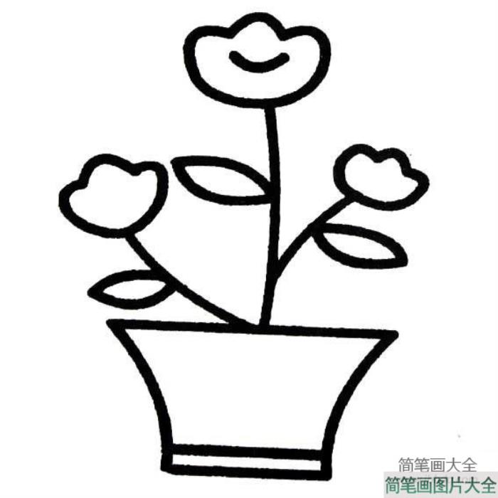 花盆里的花简笔画图片  第2张