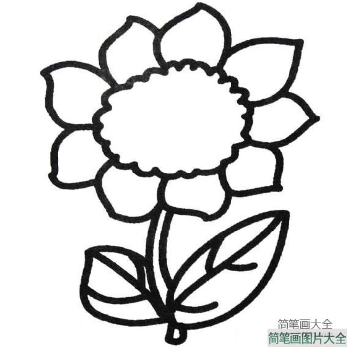 有关小葵花简笔画