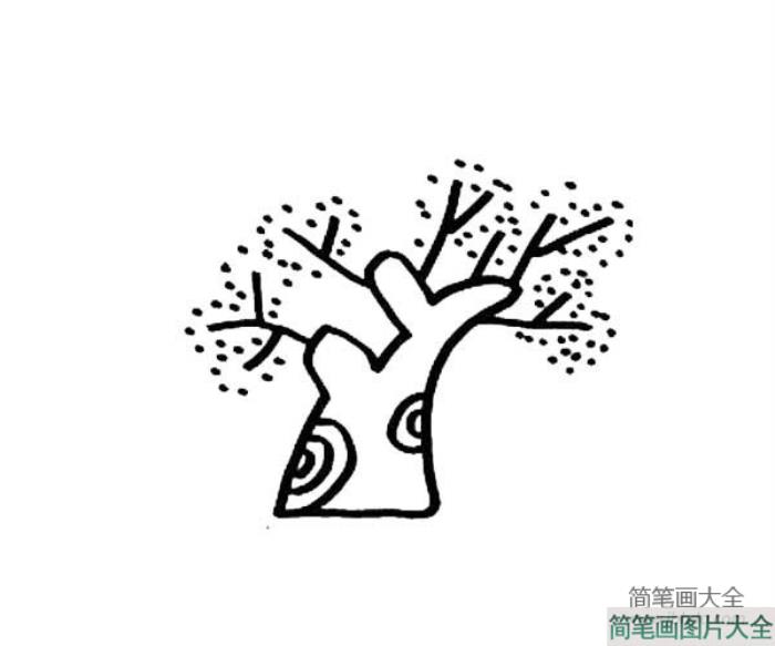 好看又简单的大树简笔画  第1张