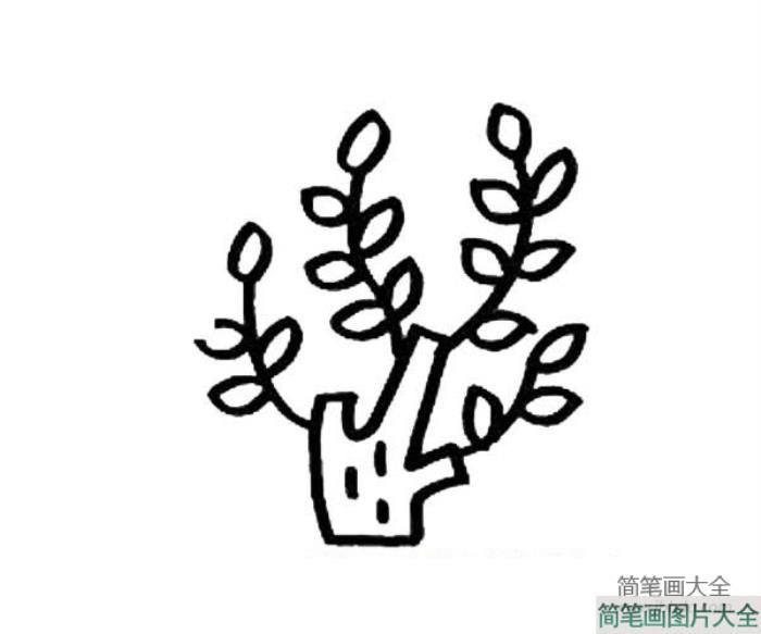 幼儿大树简笔画_刚发芽的大树  第1张