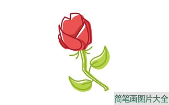 简笔画玫瑰花的画法  第6张