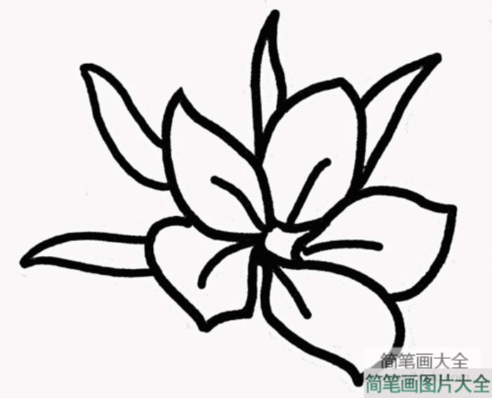 樱花简笔画画法  第3张