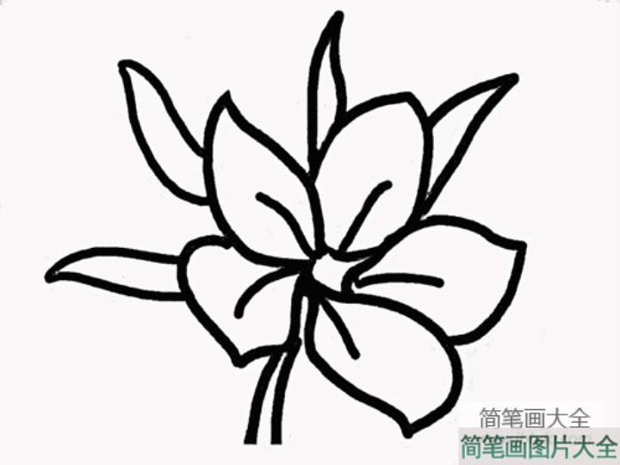 樱花简笔画画法  第4张