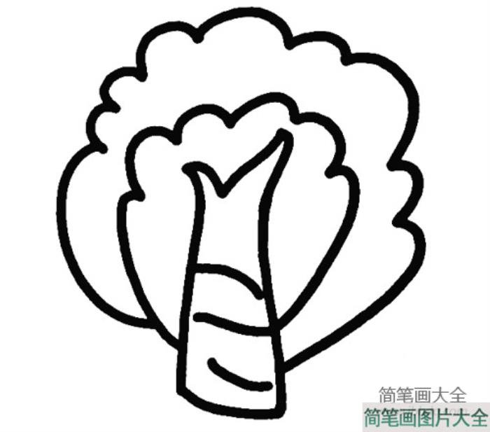 杨树的画法简笔画  第4张