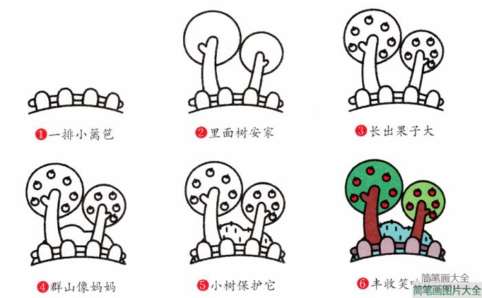 果园里的果树简笔画  第2张