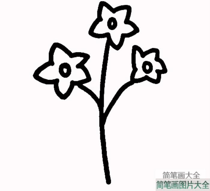 水仙花简笔画画法  第2张