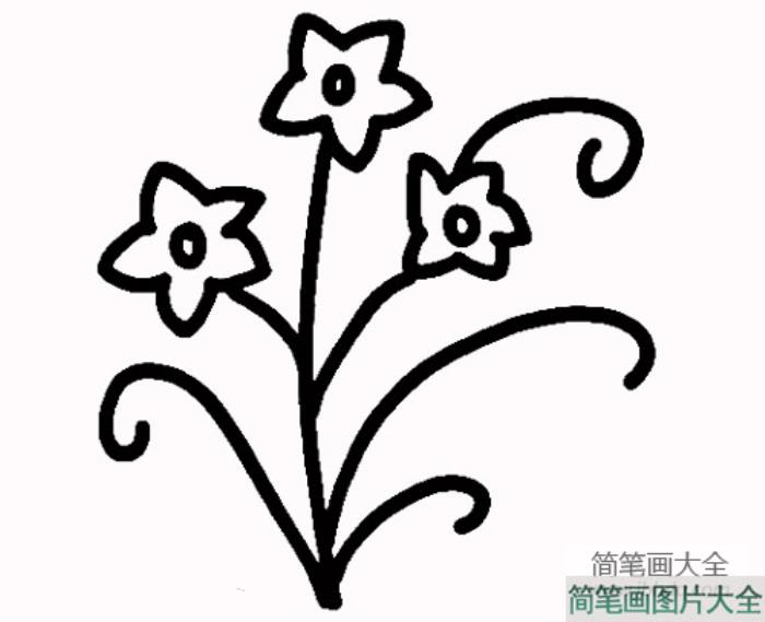 水仙花简笔画画法  第4张