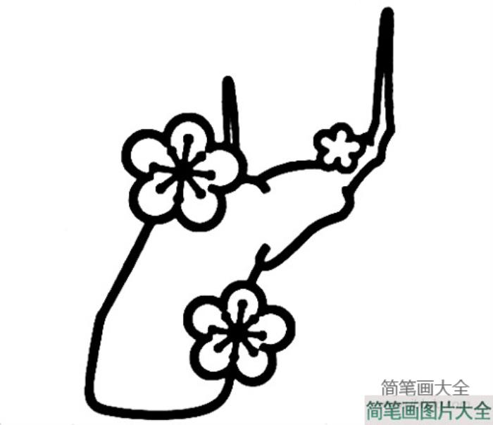 梅花简笔画画法  第3张