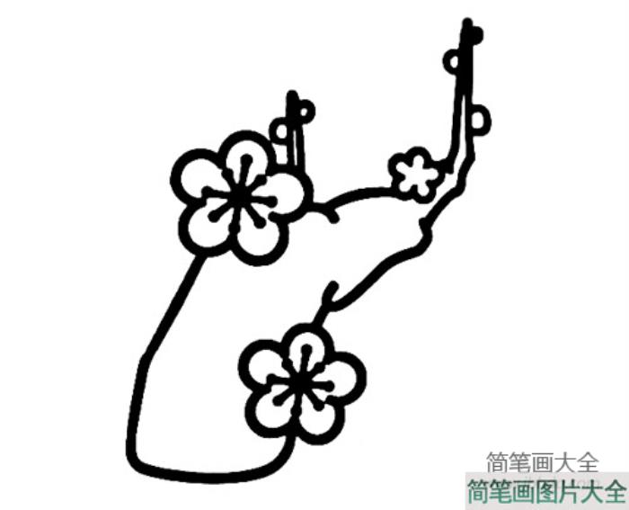 梅花简笔画画法  第4张