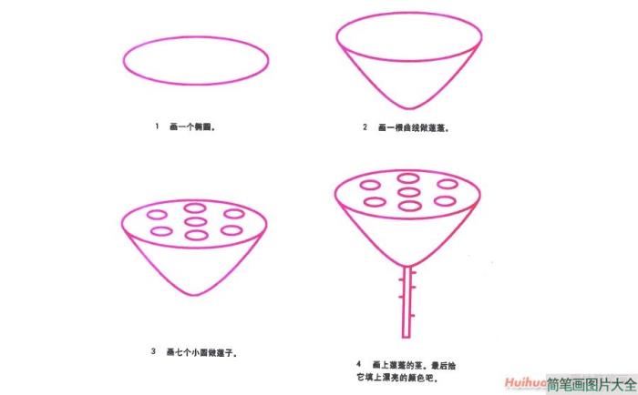 莲蓬简笔画  第1张