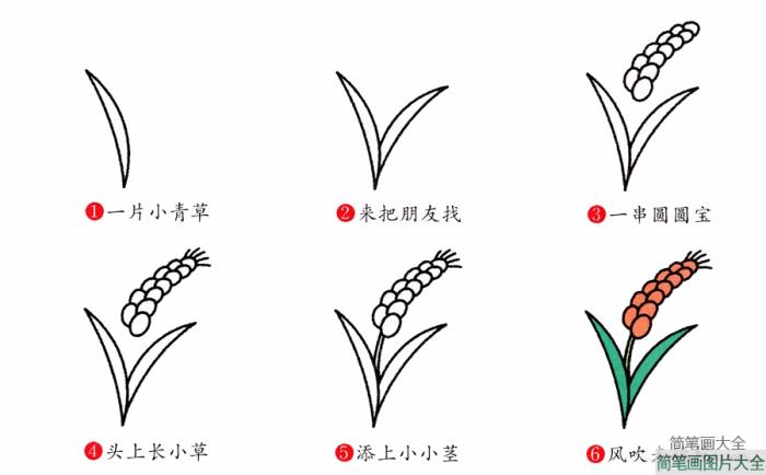 麦穗简笔画画法  第2张