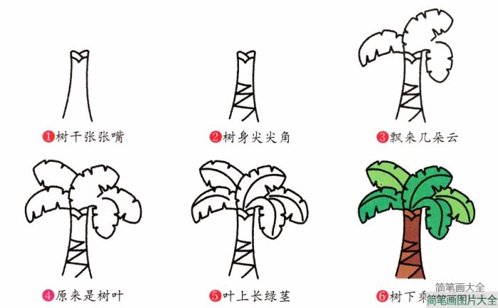 芭蕉树简笔画画法  第2张