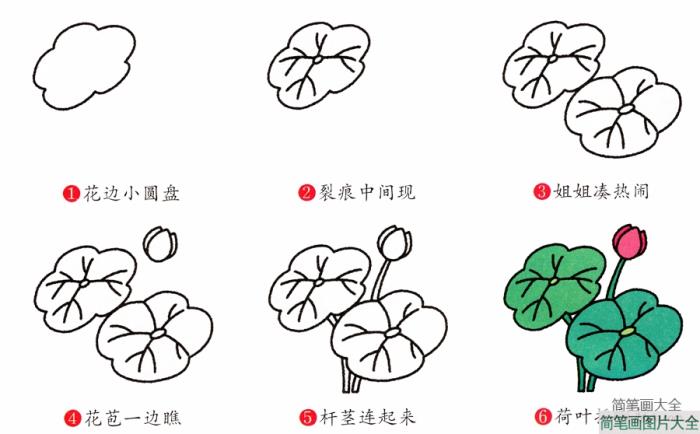 荷花简笔画画法  第2张