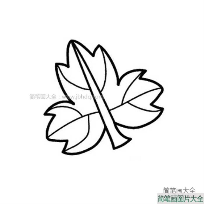 一片树叶简笔画图片  第2张