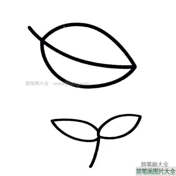 小树叶简笔画  第2张