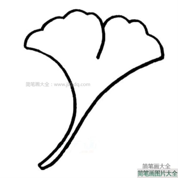 漂亮的银杏树叶简笔画