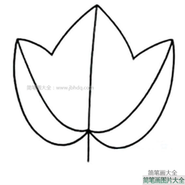 简单的树叶简笔画  第2张