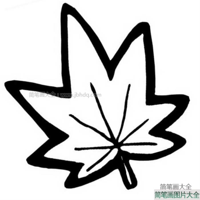 梧桐树树叶简笔画  第2张