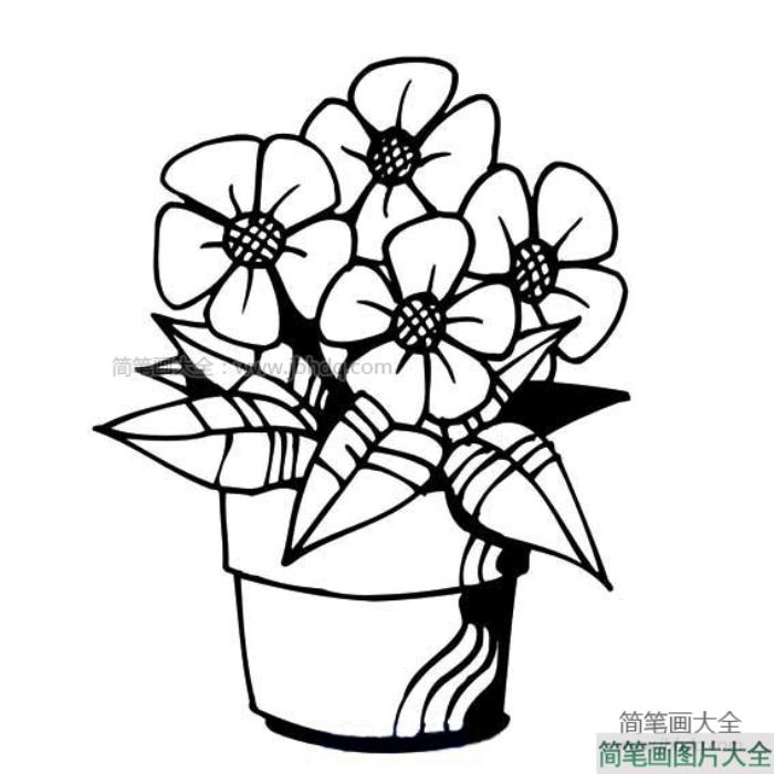 盆栽小花进阶版简笔画