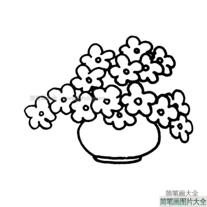 盆栽小花进阶版简笔画  第3张