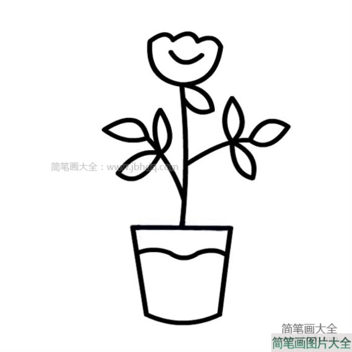 一组简单的盆栽小花简笔画