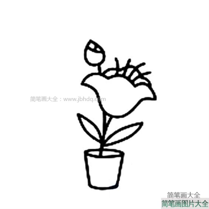 好看的小花盆简笔画  第2张