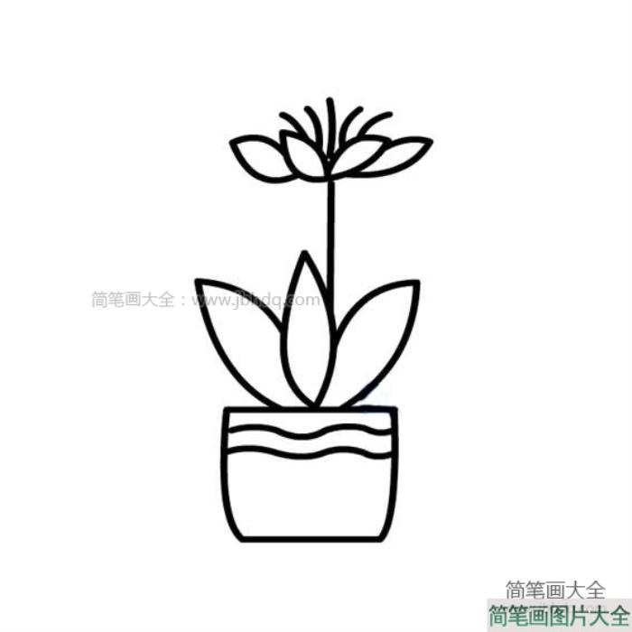 好看的小花盆简笔画  第3张