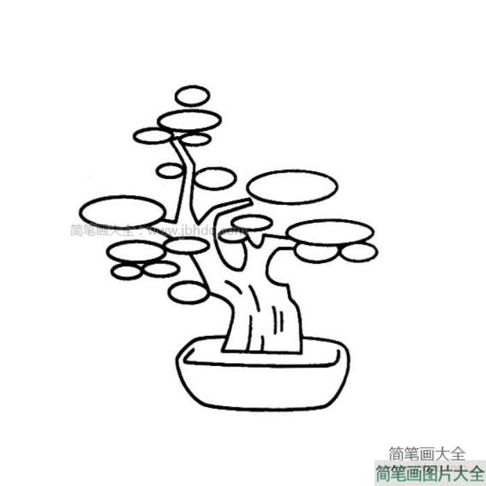 小树盆景简笔画