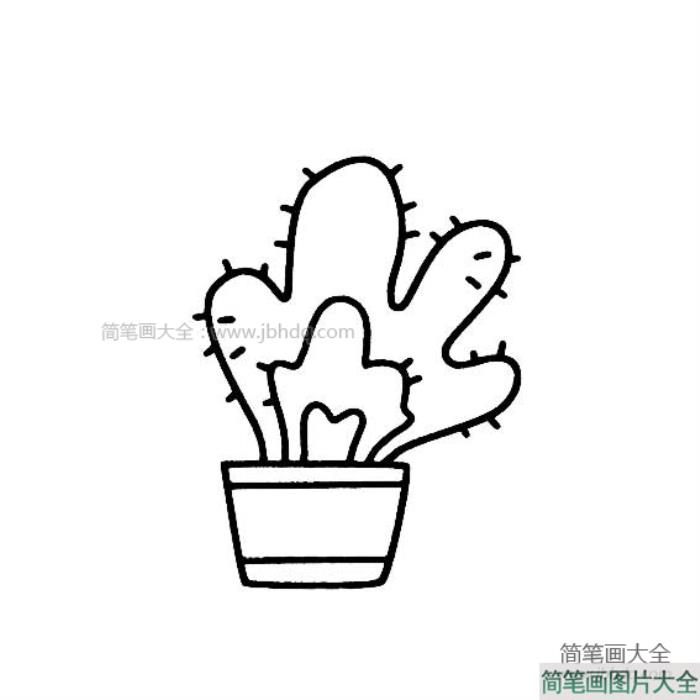 花盆里的仙人掌简笔画  第3张