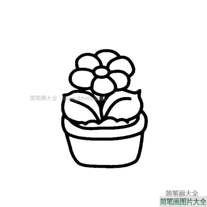 简单小盆栽简笔画  第3张