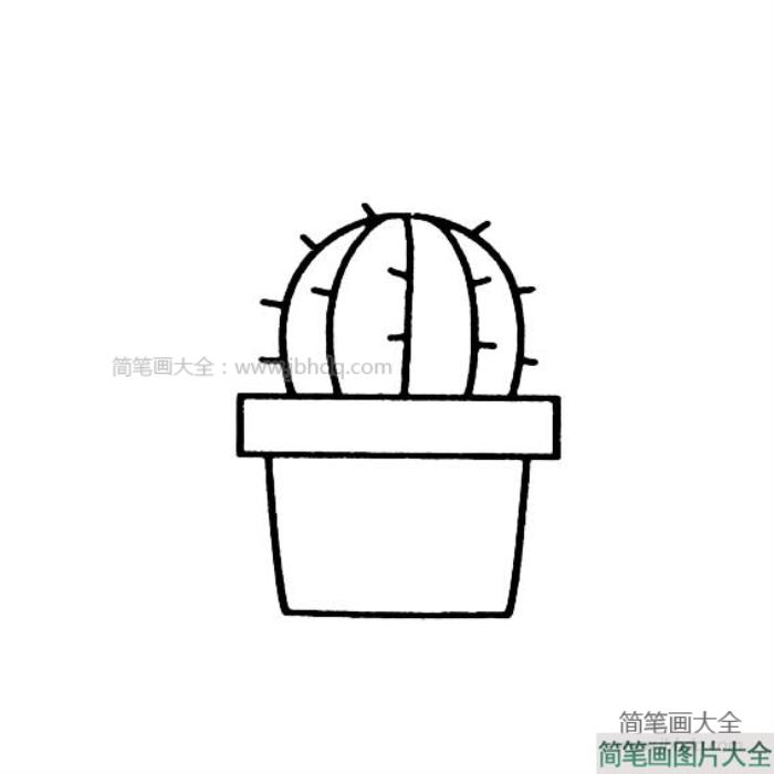 仙人球盆栽简笔画  第2张