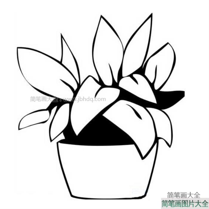 花盆和花简笔画  第1张