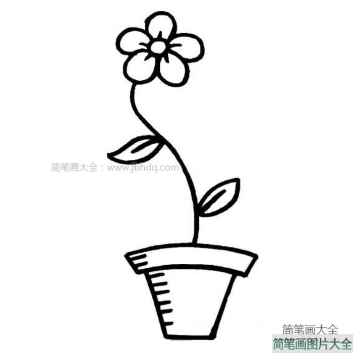 花盆里的一朵花简笔画