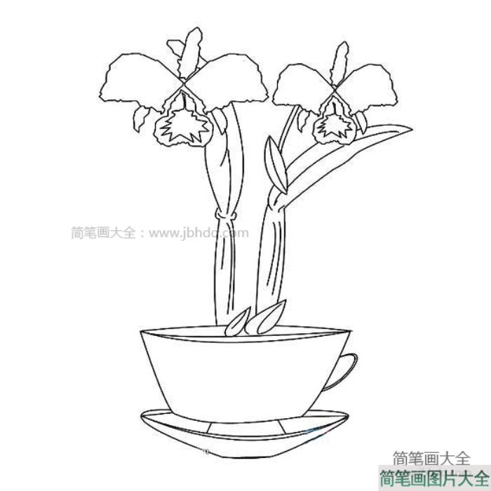 漂亮的盆栽简笔画