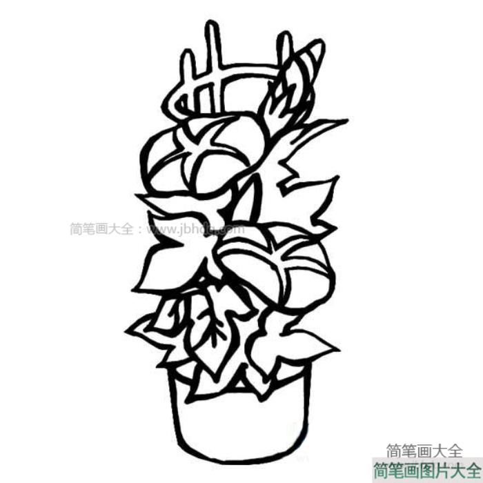 漂亮的盆栽简笔画  第2张